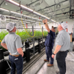 Engineering a Custom Water Management System for Your Growing Operation